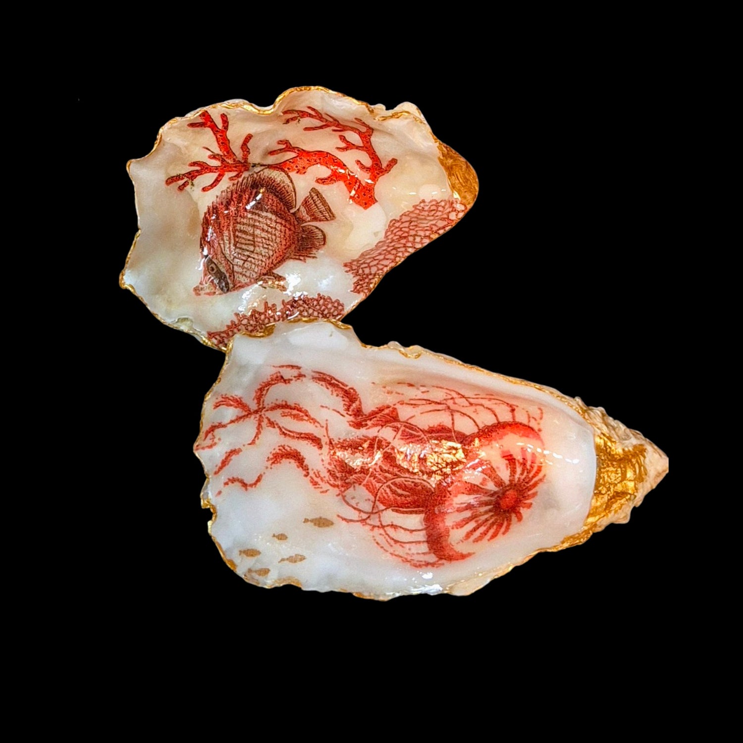 The Shells