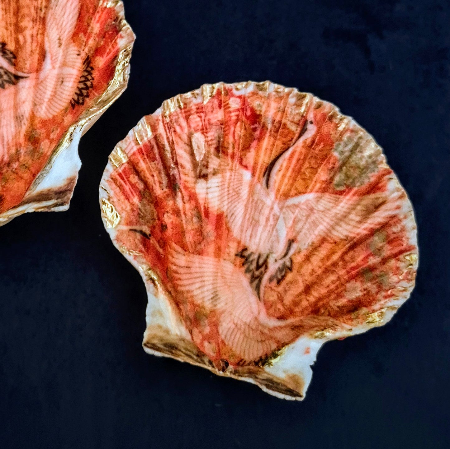 Pair of Crane Cornish Scallop Shells
