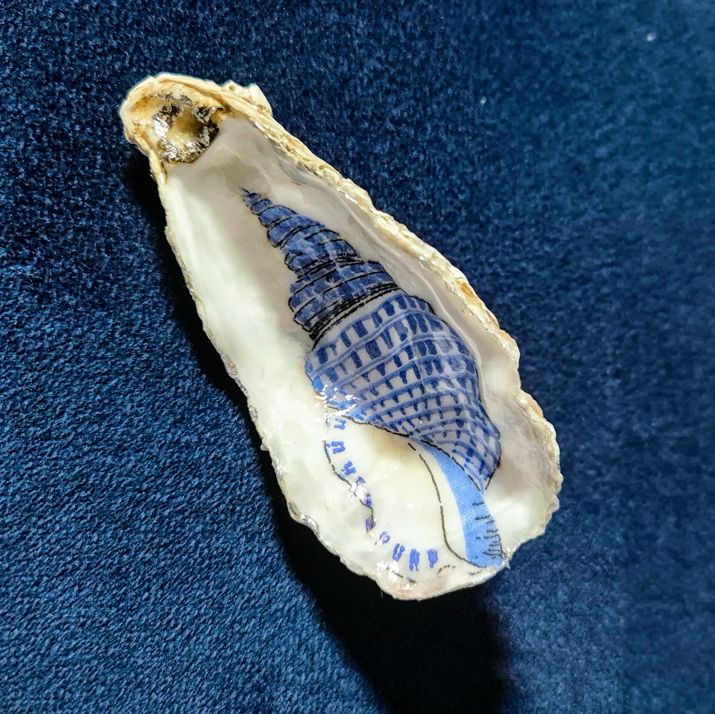 Single Blue Seashell Oyster Dish