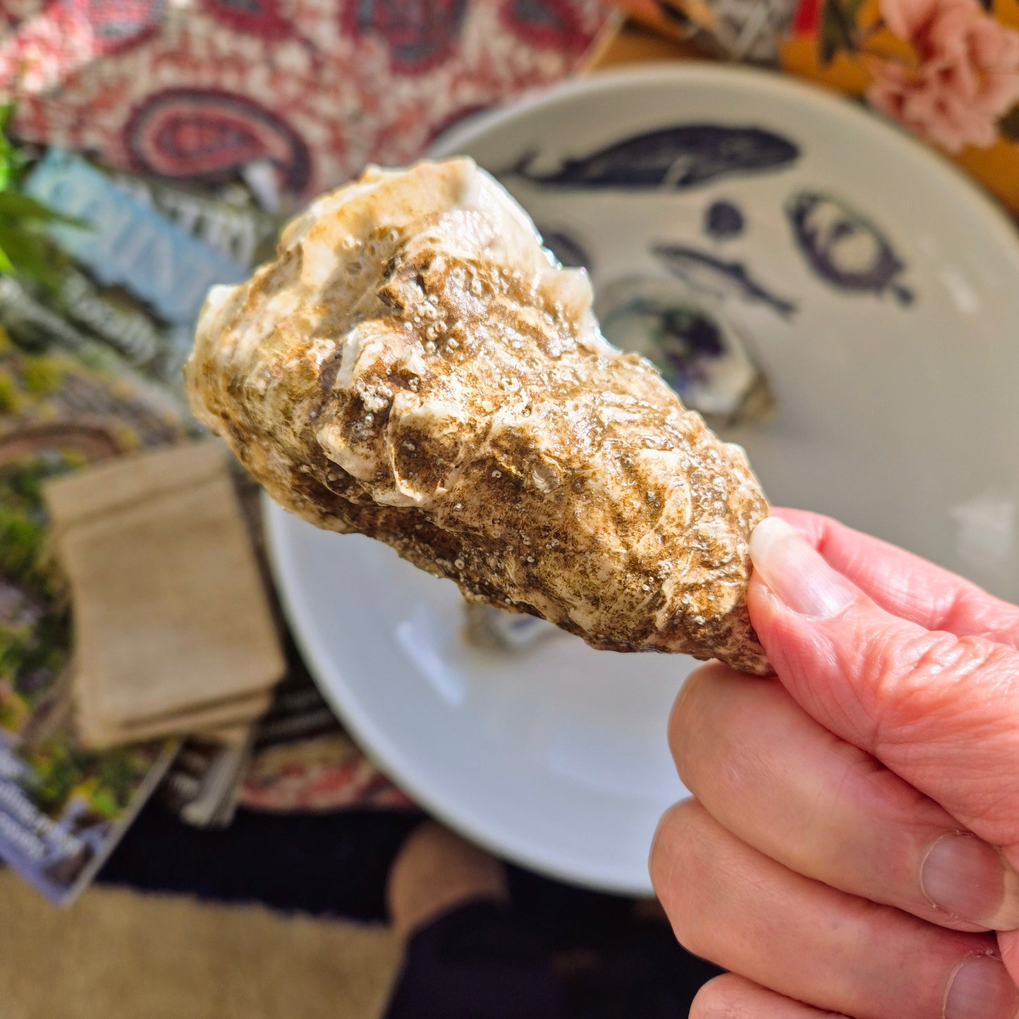 Large Floral Oyster Shell