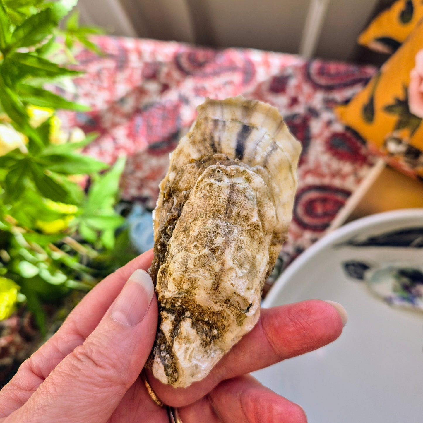 Lavender Oyster Dish