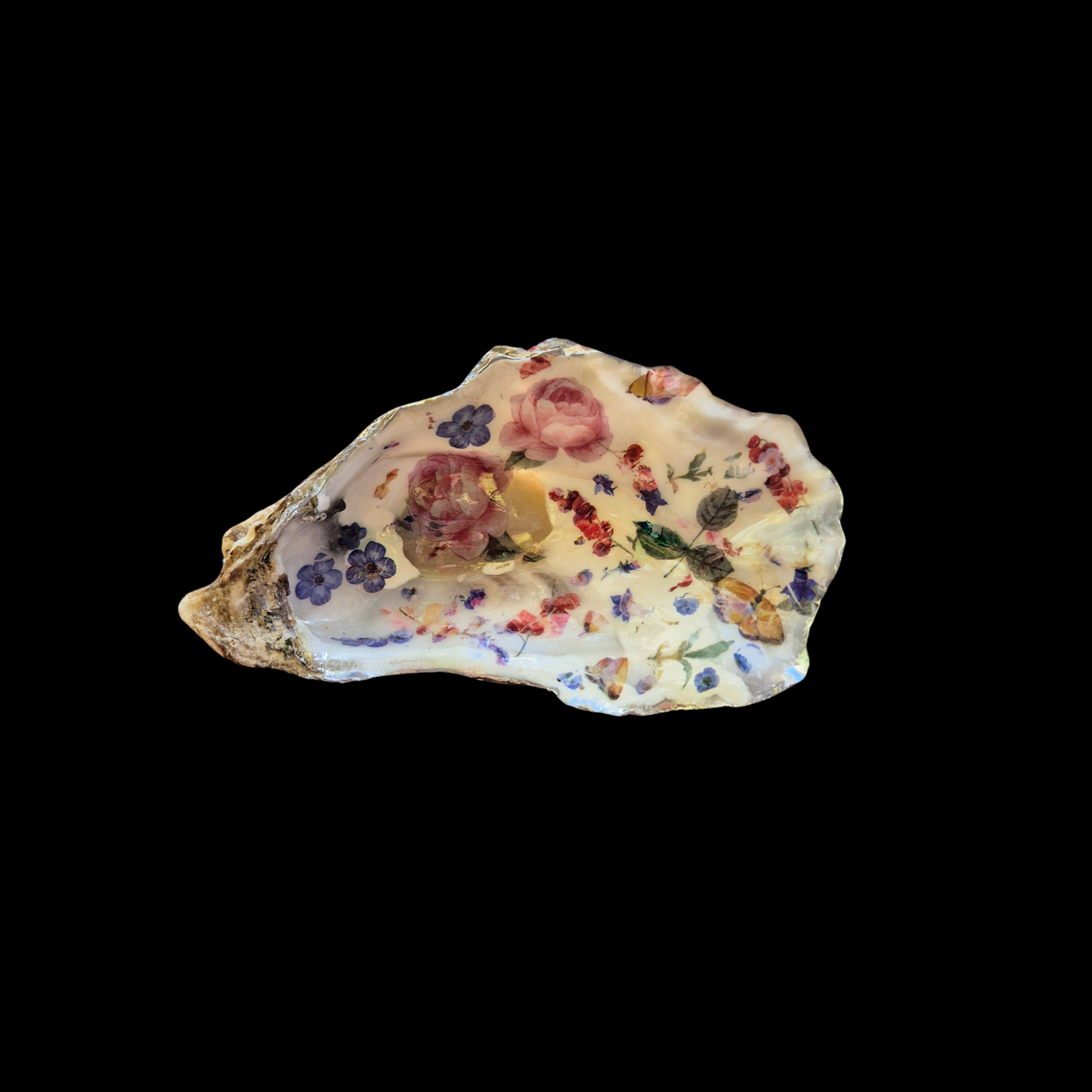 Pretty Large Oyster Shell