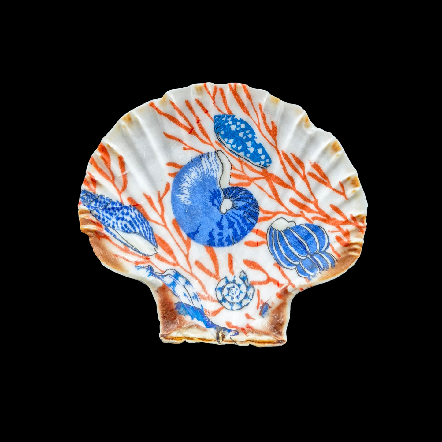 Sealife Cornish Scallop Shell Trinket Dish