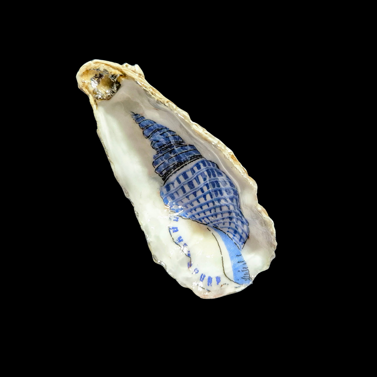 Single Blue Seashell Oyster Dish