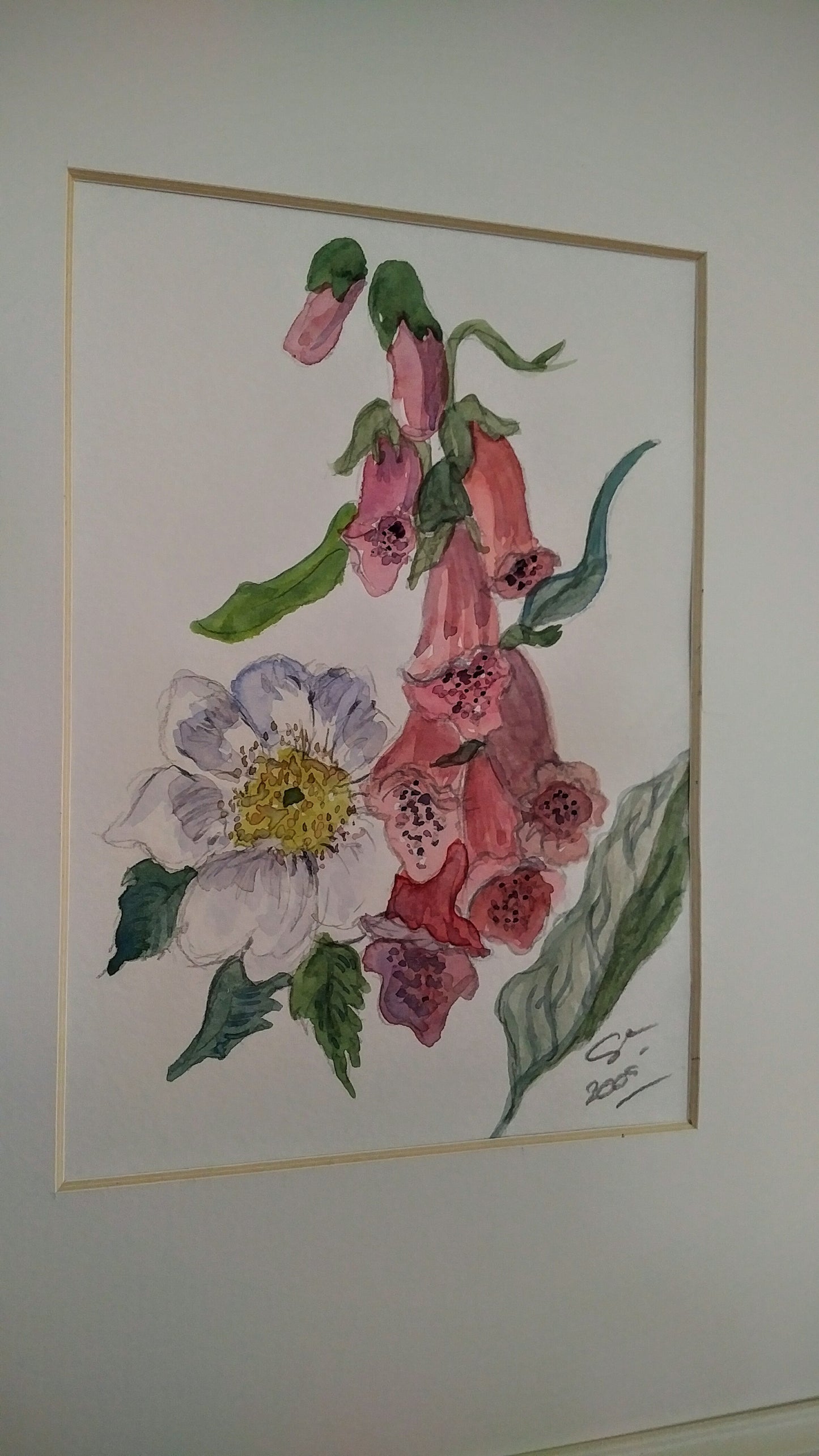 Watercolours