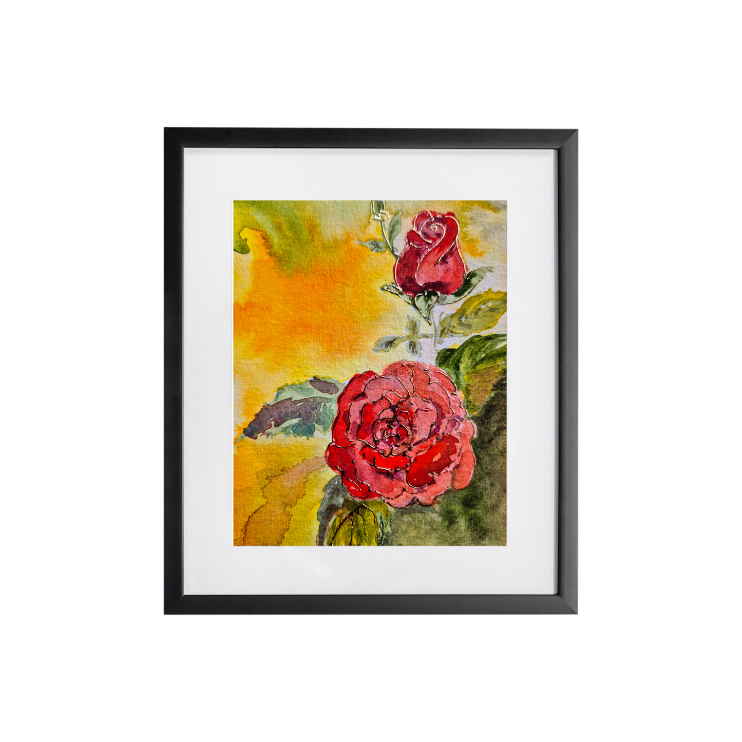 Roses, a watercolour sketch