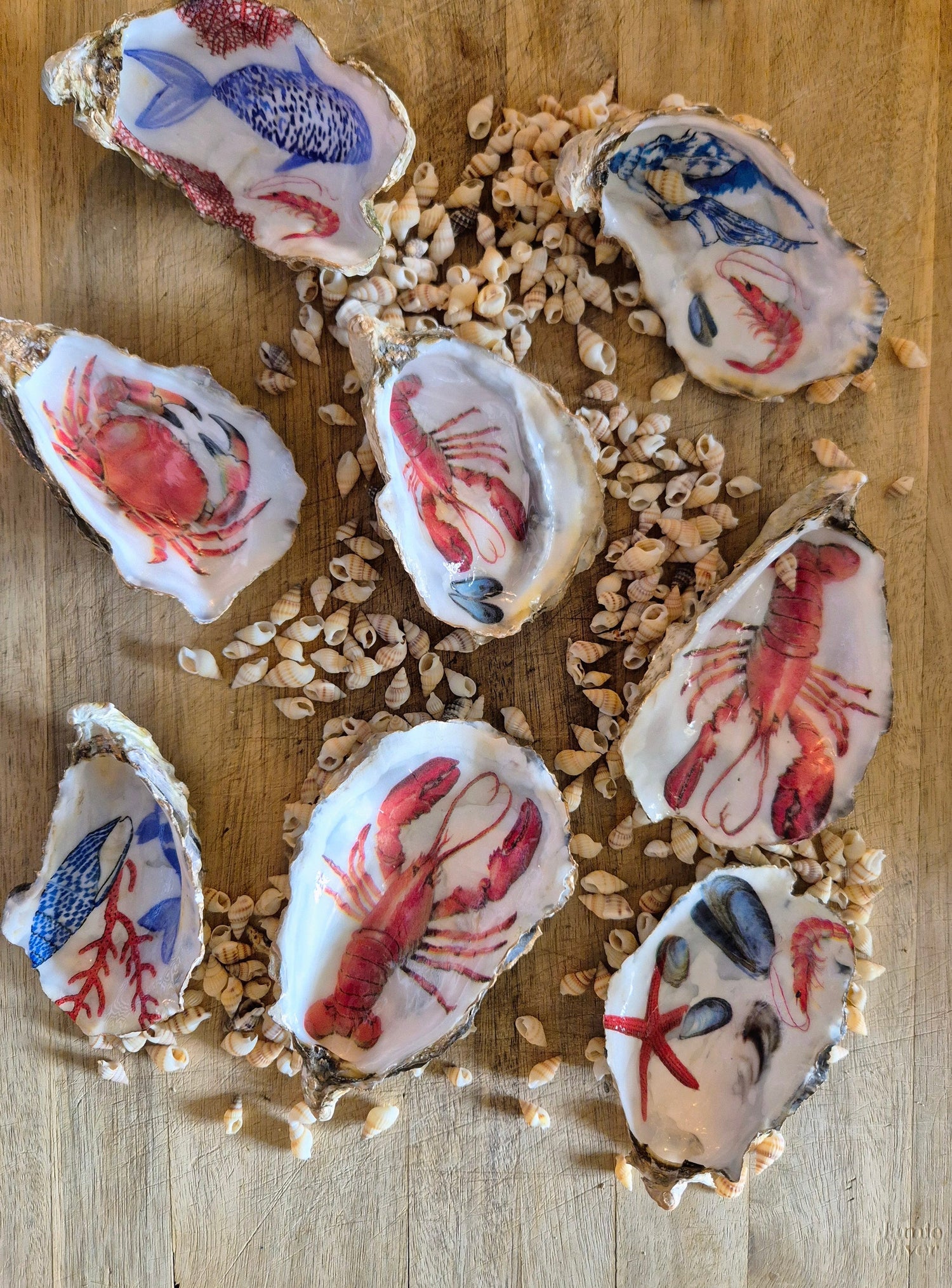 Coastal Vibe - Shell Gifts & Art
