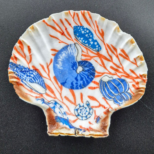 Sealife Cornish Scallop Shell Trinket Dish