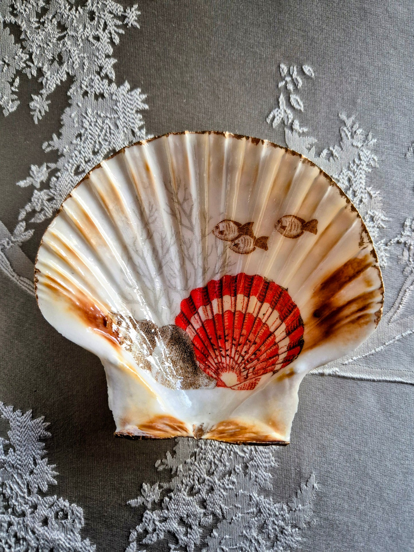 Three Little Fishes - Sea Shell Scallop Trinket Tray and Box