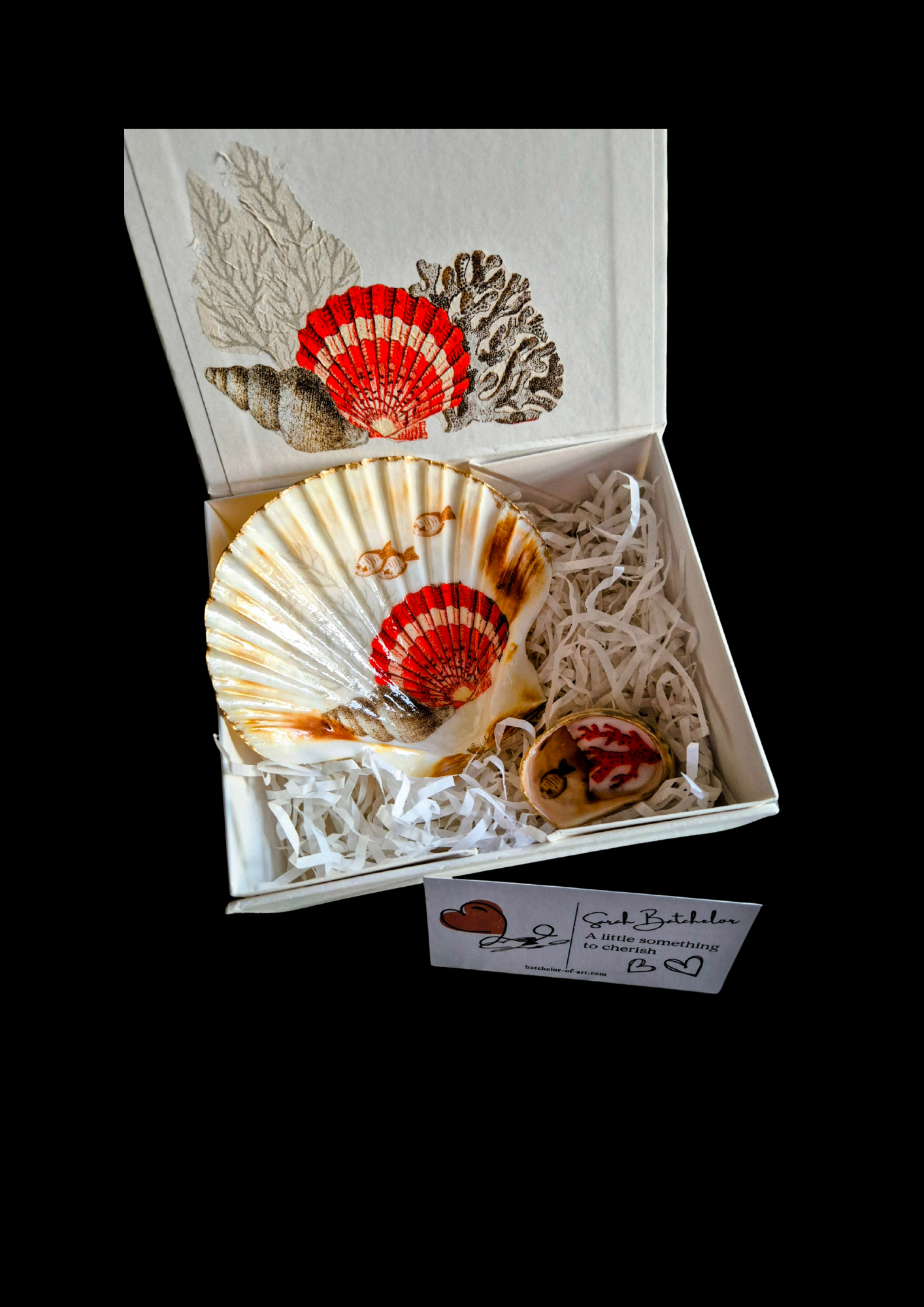 Three Little Fishes - Sea Shell Scallop Trinket Tray and Box