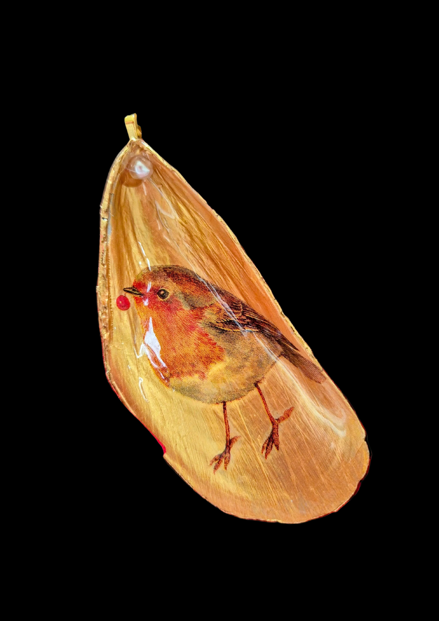 Robin Mussel Shell Christmas Tree Decoration and Gift Box.