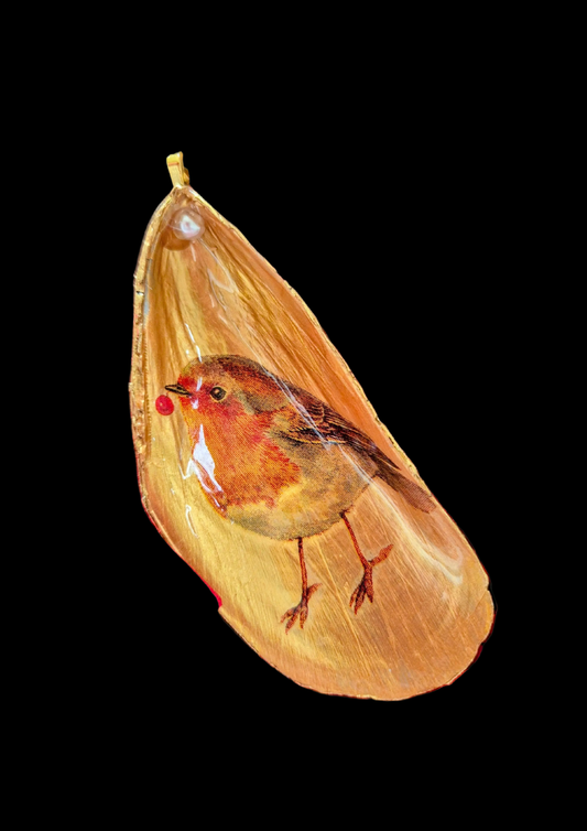 Robin Mussel Shell Christmas Tree Decoration and Gift Box.