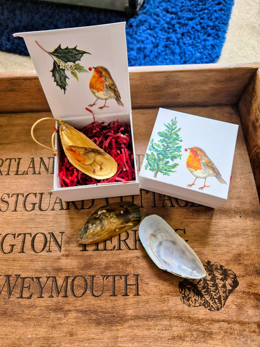 Robin Mussel Shell Christmas Tree Decoration and Gift Box.